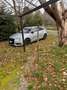 Audi A3 Sportback 1.6 tdi Admired 110cv E6 Grigio - thumbnail 3