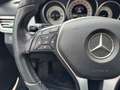 Mercedes-Benz E 250 BlueTEC 4MATIC T-Modell Sportpaket Klima Grau - thumbnail 14