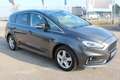 Ford S-Max S-MAX Titanium 2,0 EcoBlue RFK,Keyless Entry,Sp... Grau - thumbnail 5