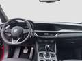 Alfa Romeo Stelvio 2.2 t Veloce Q4 210cv auto Rosso - thumbnail 14