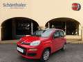 Fiat Panda 1.2 8V Easy (EURO 6d-TEMP) Rot - thumbnail 1