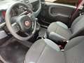 Fiat Panda 1.2 8V Easy (EURO 6d-TEMP) Rot - thumbnail 4