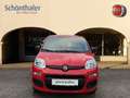 Fiat Panda 1.2 8V Easy (EURO 6d-TEMP) Rot - thumbnail 14