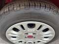 Fiat Panda 1.2 8V Easy (EURO 6d-TEMP) Rot - thumbnail 13