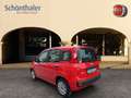 Fiat Panda 1.2 8V Easy (EURO 6d-TEMP) Rot - thumbnail 2