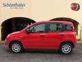 Fiat Panda 1.2 8V Easy (EURO 6d-TEMP) Rot - thumbnail 3