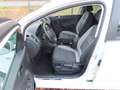 Volkswagen Golf Plus Life Rentnerfahrzeug im Top Zustand! Blanc - thumbnail 11