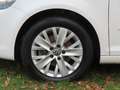 Volkswagen Golf Plus Life Rentnerfahrzeug im Top Zustand! Blanc - thumbnail 20