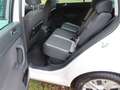 Volkswagen Golf Plus Life Rentnerfahrzeug im Top Zustand! Blanc - thumbnail 13