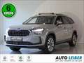 Skoda Kodiaq IV Selection AHK/Pano/LM18 Bluetooth Navi Grau - thumbnail 1