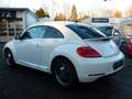 Volkswagen Beetle Lim. 1.4 TSI Cup Automatik Xenon Nav Prkh Weiß - thumbnail 8