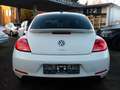 Volkswagen Beetle Lim. 1.4 TSI Cup Automatik Xenon Nav Prkh Weiß - thumbnail 7