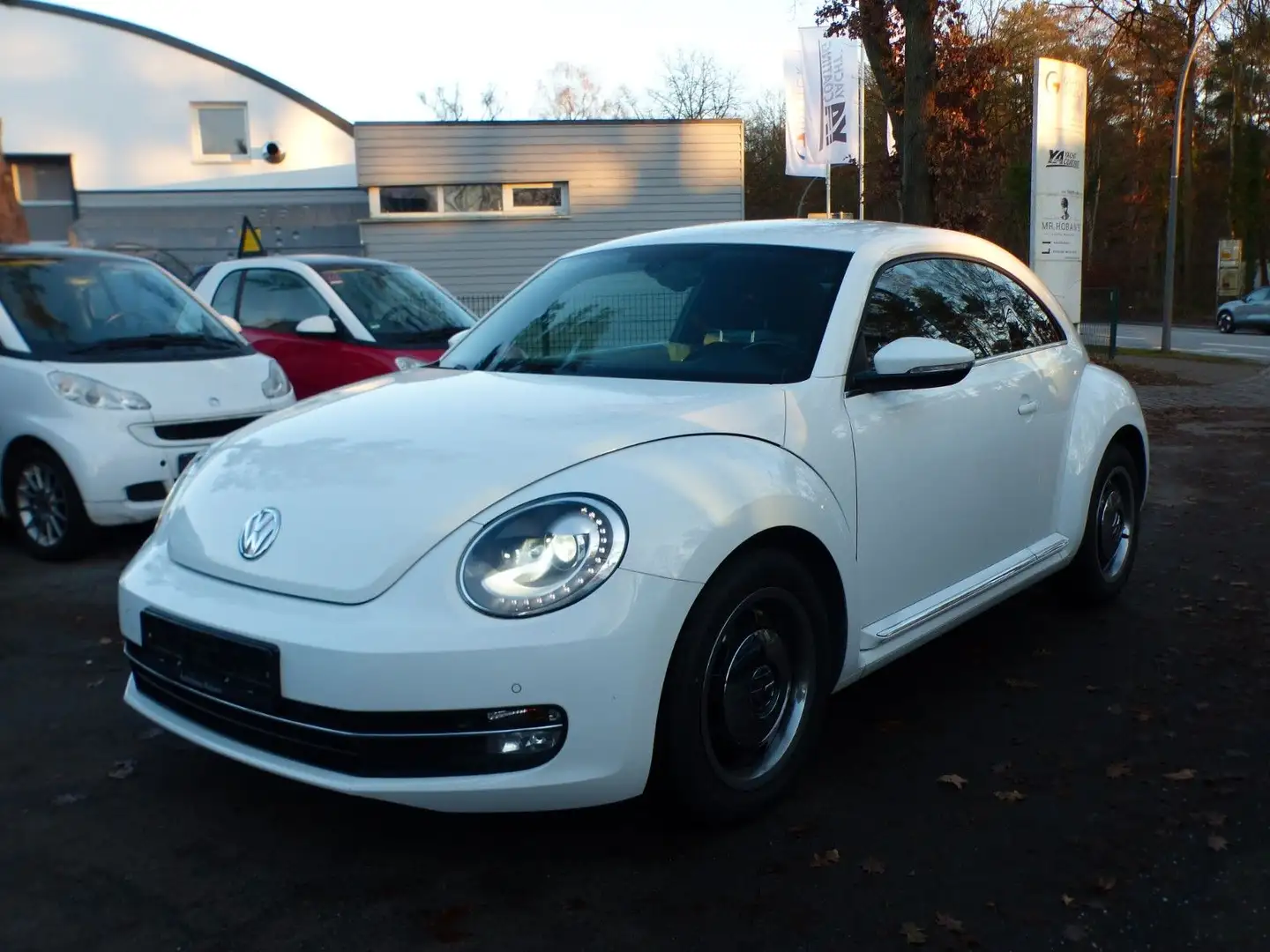 Volkswagen Beetle Lim. 1.4 TSI Cup Automatik Xenon Nav Prkh Weiß - 1
