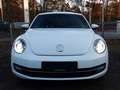 Volkswagen Beetle Lim. 1.4 TSI Cup Automatik Xenon Nav Prkh Weiß - thumbnail 2