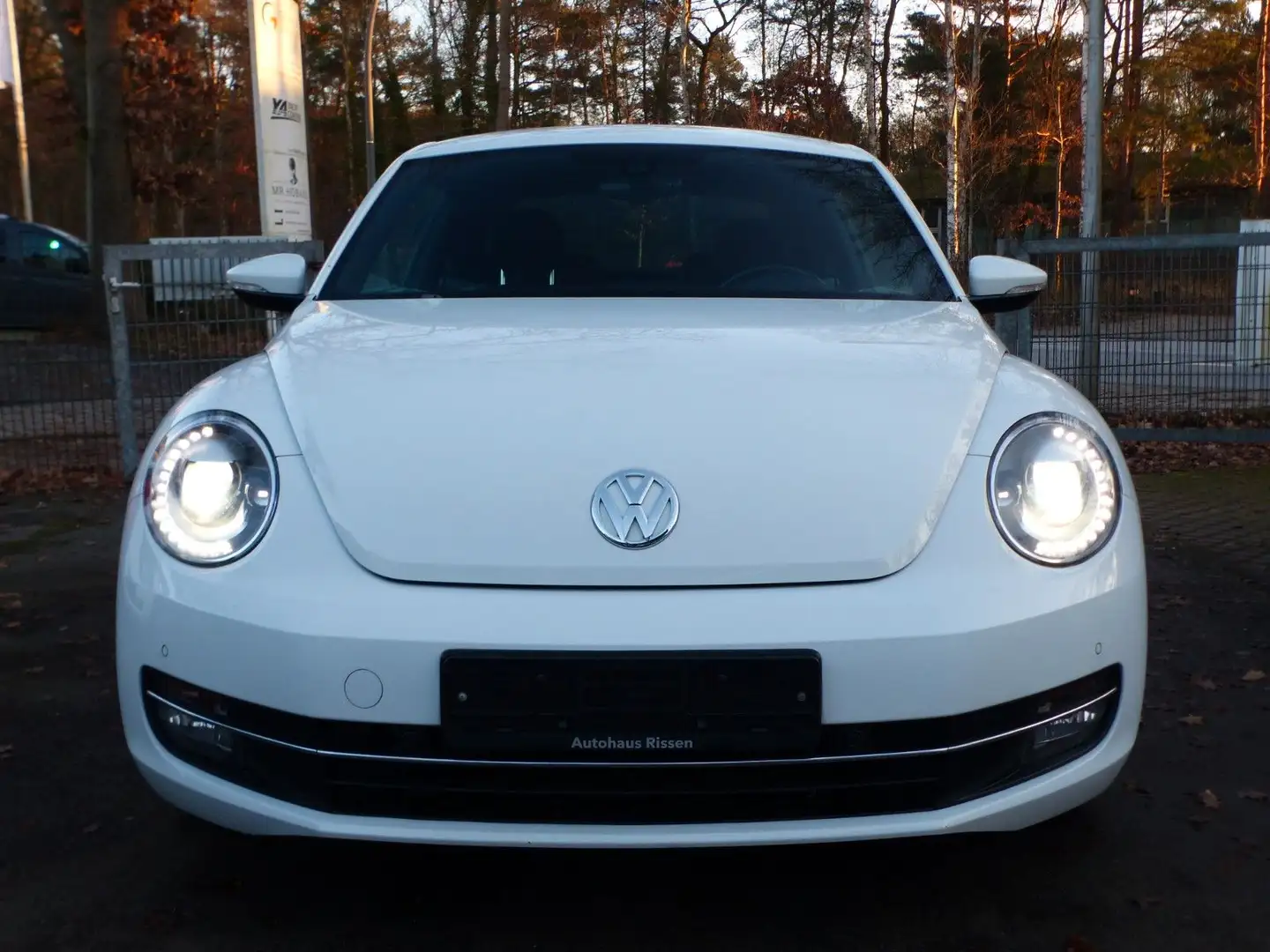 Volkswagen Beetle Lim. 1.4 TSI Cup Automatik Xenon Nav Prkh Weiß - 2