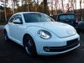 Volkswagen Beetle Lim. 1.4 TSI Cup Automatik Xenon Nav Prkh Weiß - thumbnail 3