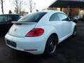 Volkswagen Beetle Lim. 1.4 TSI Cup Automatik Xenon Nav Prkh Weiß - thumbnail 6