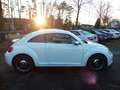Volkswagen Beetle Lim. 1.4 TSI Cup Automatik Xenon Nav Prkh Weiß - thumbnail 5