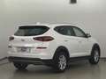 Hyundai TUCSON 1.6 TGDI Navi Kamera AHK Bianco - thumbnail 5