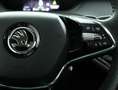 Skoda Enyaq iV 80|SOH 90%|Panoramadak|Leer|Trekhaak|ACC|Stoelv Gris - thumbnail 21