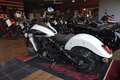 Indian Scout Classic Limited +Tech Ghost White Blanc - thumbnail 6