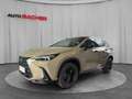 Lexus NX 350h *Sondermodell Overtrail* 244 PS AWD Brun - thumbnail 1