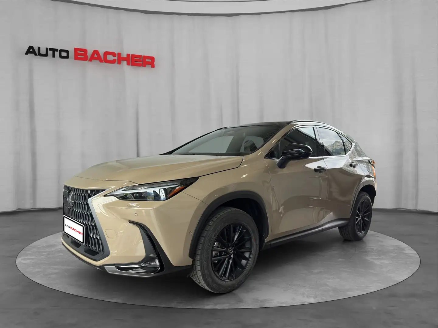 Lexus NX 350h *Sondermodell Overtrail* 244 PS AWD Brun - 1