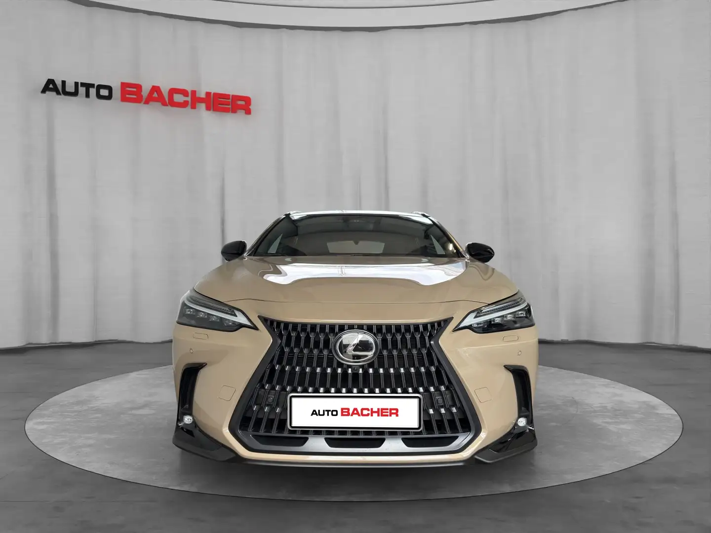 Lexus NX 350h *Sondermodell Overtrail* 244 PS AWD Brun - 2