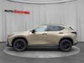 Lexus NX 350h *Sondermodell Overtrail* 244 PS AWD Brun - thumbnail 3