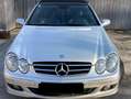 Mercedes-Benz CLK 320 CLK 320 CDI (209.420) Argintiu - thumbnail 2