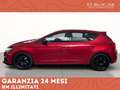 SEAT Leon 2.0 tdi fr 184cv dsg Rosso - thumbnail 2