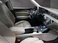 Audi e-tron 50 quattro basis Blue - thumbnail 14