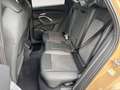Audi Q5 TDI S edition one/SLine/gold-sw/AHK/Priv/20 Or - thumbnail 14