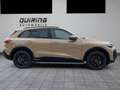 Audi Q5 TDI S edition one/SLine/gold-sw/AHK/Priv/20 Or - thumbnail 6