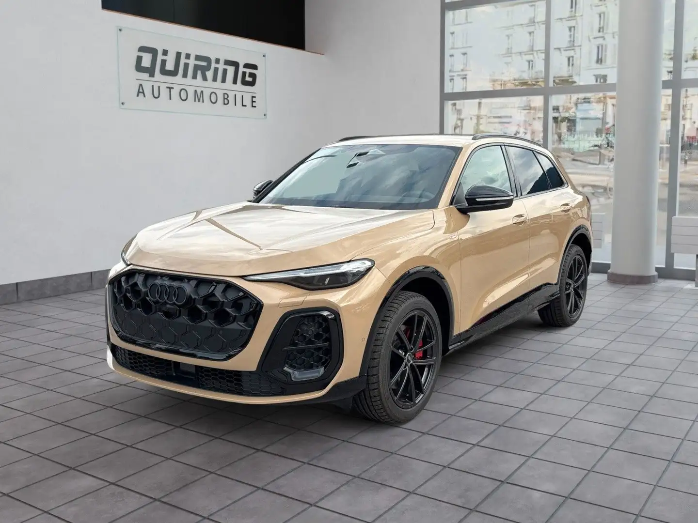 Audi Q5 TDI S edition one/SLine/gold-sw/AHK/Priv/20 Or - 1