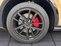 Audi Q5 TDI S edition one/SLine/gold-sw/AHK/Priv/20 Or - thumbnail 9