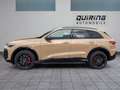 Audi Q5 TDI S edition one/SLine/gold-sw/AHK/Priv/20 Or - thumbnail 2