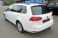 Volkswagen Golf Variant Golf Variant Rabbit BMT 1,6 TDI Rabbit Weiß - thumbnail 8
