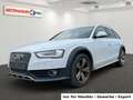 Audi A4 allroad A4 Kombi 3.0 TDI Allroad quattro Automatik Xenon Weiß - thumbnail 1