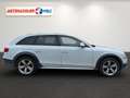 Audi A4 allroad A4 Kombi 3.0 TDI Allroad quattro Automatik Xenon Weiß - thumbnail 4