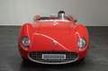 Triumph TR 2 SUPERLEGGERA BRISTOL Werks-Rennsportwagen Rouge - thumbnail 3