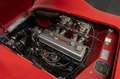 Triumph TR 2 SUPERLEGGERA BRISTOL Werks-Rennsportwagen Rouge - thumbnail 7