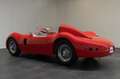 Triumph TR 2 SUPERLEGGERA BRISTOL Werks-Rennsportwagen Rouge - thumbnail 5
