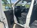 Volkswagen T6.1 Multivan Multivan Edition FWD Alb - thumbnail 13