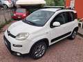 Fiat Panda 1.3 MJ 4x4 con ELD Bianco - thumbnail 2