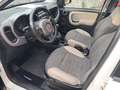 Fiat Panda 1.3 MJ 4x4 con ELD Bianco - thumbnail 5