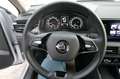 Skoda Kamiq TSI Aut. LED/Kam/SHZ/Gar.2028 Silber - thumbnail 16