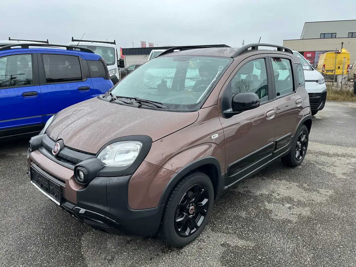 Fiat Panda Trussardi 1,2 Braun - 1