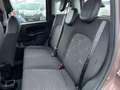 Fiat Panda Trussardi 1,2 Braun - thumbnail 8