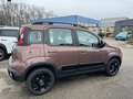 Fiat Panda Trussardi 1,2 Braun - thumbnail 4